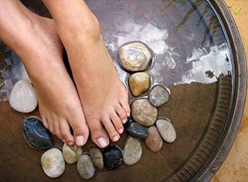 Cuccio Naturale Reusable Stainless Steel Pedicure File Kit – Includes 15 Black 80 Grit and 15 White 180 Grit Disposable Abrasive Refills – 100% Sanitizable with Ergonomic Handle