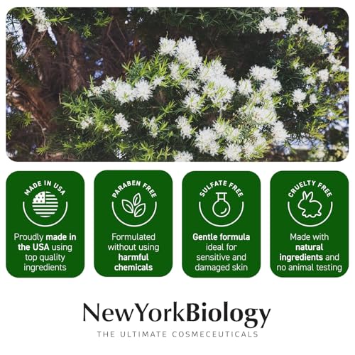 New York Biology Tea Tree Oil Foot Cream for Dry Cracked Feet, Athletes Foot, Nail Fungus, Jock Itch, Ringworm, Cracked Heels and Itchy Skin - Foot Cream - 8 oz - Pack of 2
