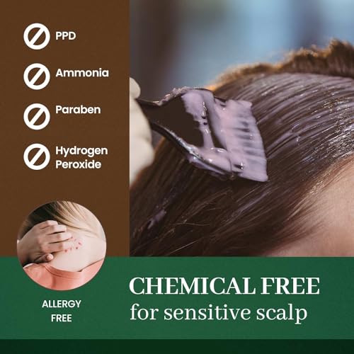 DONGSUNG Herb Speedy Color Cream (Dark Brown, 1 Pack), PPD-Free Ammonia-Free Vegan Hair Dye with Sun Protection, Odorless, Gentle for Sensitive Scalp, No Eye or Scalp Irritation