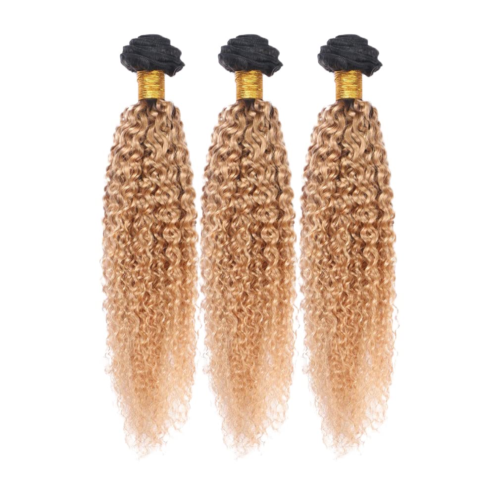 Honey Blonde Bundles Human Hair Ombre Kinky Curly Human Hair Bundles 8A Grade Brazilian Unprocessed Virgin Remy Hair 3 Bundles 14 16 18 Inch Blonde Wet and Wavy Bundles Hair Extensions